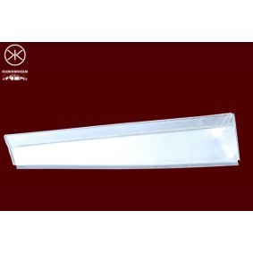 Rückleuchte 34760723 von KLOKKERHOLM günstig für 68,60 € online kaufen