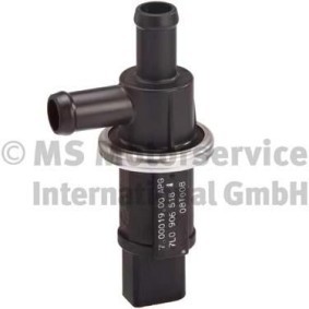 Comprar Válvula filtro carbón activado de PIERBURG 7.00019.01.0 a bajo precio de 40,17 €