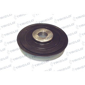 Comprar Polea de cigüeñal de TRICLO 421209 a bajo precio de 76,85 €