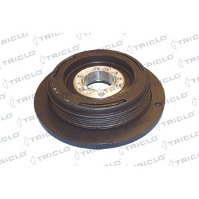Riemenscheibe, Kurbelwelle 423291 von TRICLO günstig für 339,26 € online kaufen