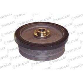 Riemenscheibe, Kurbelwelle 423293 von TRICLO günstig für 234,19 € online kaufen