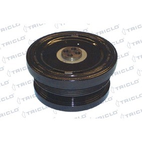 Riemenscheibe, Kurbelwelle 423294 von TRICLO günstig für 210,30 € online kaufen
