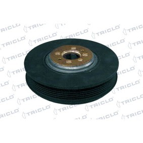 Comprar Polea de cigüeñal de TRICLO 423302 a bajo precio de 120,46 €