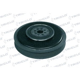 Compre Polia, cambota da TRICLO 423309 a um preço baixo por 219,25 €