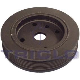 Riemenscheibe, Kurbelwelle 425183 von TRICLO günstig für 44,98 € online kaufen