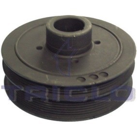 Comprar Polea de cigüeñal de TRICLO 426002 a bajo precio de 99,64 €