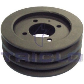 Achetez des Poulie damper de chez TRICLO en ligne pour Monterey A (M92) à prix modérés