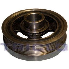 Compre Polia, cambota da TRICLO 426015 a um preço baixo por 141,57 €