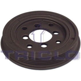 Comprar Polea de cigüeñal de TRICLO 428125 a bajo precio de 78,10 €
