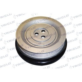 Comprar Polea de cigüeñal de TRICLO 428874 a bajo precio de 134,16 €