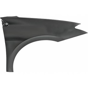 Compre Guarda-lamas de DIEDERICHS online para LAGUNA III (BT0/1) a preços moderados