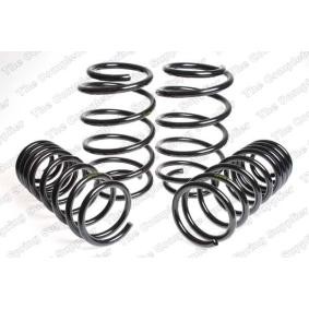 Fahrwerksatz, Federn 4504213 von LESJÖFORS günstig für 166,12 € online kaufen