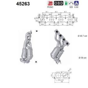 Katalysator 45263 von AS günstig für 425,71 € online kaufen