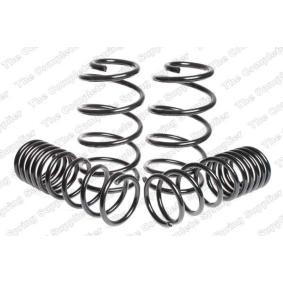 Fahrwerksatz, Federn 4595843 von LESJÖFORS günstig für 229,06 € online kaufen
