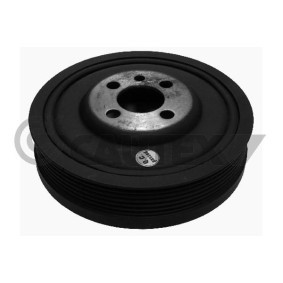 Acquista Puleggia cinghia albero a gomiti da CAUTEX 460950 a buon mercato per soli 88,07 €