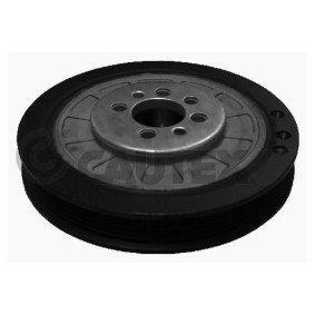 Acquista Puleggia cinghia albero a gomiti da CAUTEX 460962 a buon mercato per soli 101,35 €