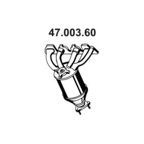 Comprar Catalizador de EBERSPÄCHER 47.003.60 a bajo precio de 643,28 €