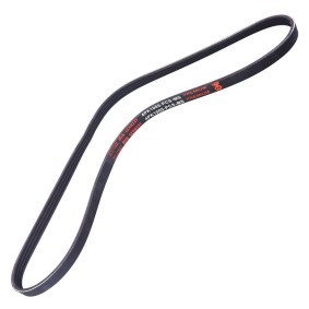 Keilrippenriemen 4PK1005-PCS-MS von MASTER-SPORT günstig für 7,94 € online kaufen
