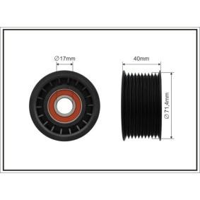 Achetez des Galet enrouleur de courroie d'accessoire CAFFARO 500201 à prix pour 11,52 €