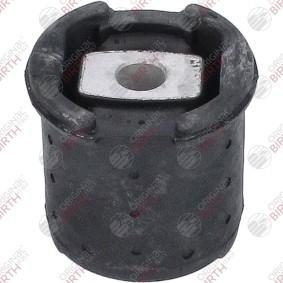 Comprar Suspensión, cuerpo del eje de BIRTH 50238 a bajo precio de 33,02 €