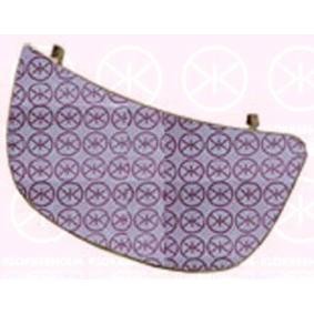 Spiegelglas, Außenspiegel 50891065 von KLOKKERHOLM günstig für 29,66 € online kaufen