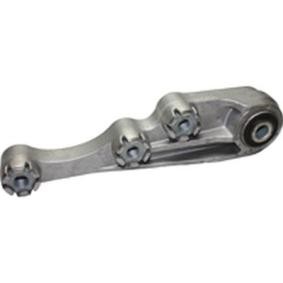 Lagerbock, Motoraufhängung 51738 von BIRTH günstig für 123,56 € online kaufen