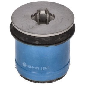 Comprar Suspensión, cuerpo del eje de BIRTH 52653 a bajo precio de 17,44 €