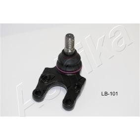 Traggelenk 53-01-101 von ASHIKA günstig für 31,06 € online kaufen