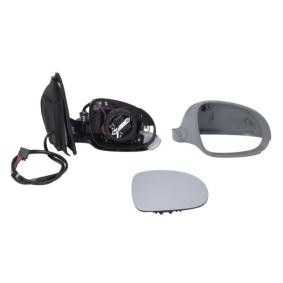 Außenspiegel 5402-01-2002624P von BLIC günstig für 120,00 € online kaufen