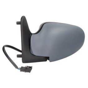 Außenspiegel 5402-04-1125798 von BLIC günstig für 101,06 € online kaufen