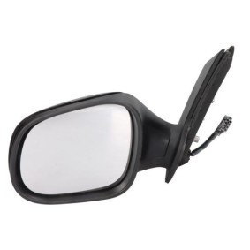 Außenspiegel 5402-04-1128551 von BLIC günstig für 76,20 € online kaufen