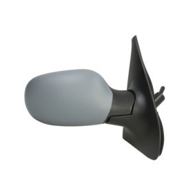 Außenspiegel 5402-04-1139532 von BLIC günstig für 108,30 € online kaufen