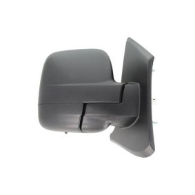 Außenspiegel 5402-04-9215939 von BLIC günstig für 43,21 € online kaufen