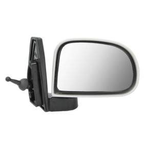 Außenspiegel 5402-20-2002840P von BLIC günstig für 45,71 € online kaufen