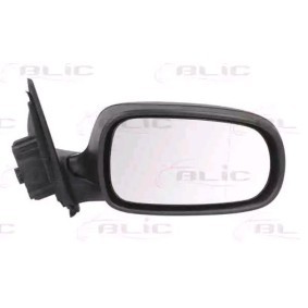 Außenspiegel 5402-26-2002256P von BLIC günstig für 287,58 € online kaufen