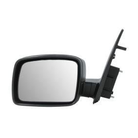 Außenspiegel 5402-57-2001643P von BLIC günstig für 430,22 € online kaufen
