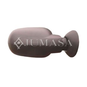 Außenspiegel 54021290 von JUMASA günstig für 57,50 € online kaufen