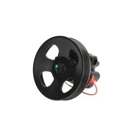 Acquista Pompa idraulica, sterzo da LAUBER 55.6201 a buon mercato per soli 124,67 €