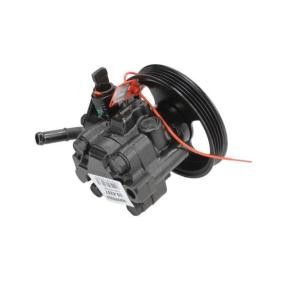 Acquista Pompa idraulica, sterzo da LAUBER 55.6207 a buon mercato per soli 180,34 €