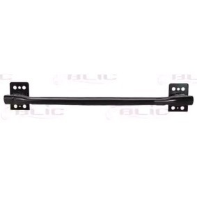 Comprar Soporte, parachoques de BLIC 5502-00-2013942P a bajo precio de 38,39 €