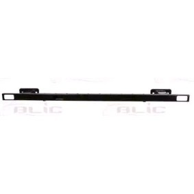 Comprar Soporte, parachoques de BLIC 5502-00-2097970P a bajo precio de 75,41 €