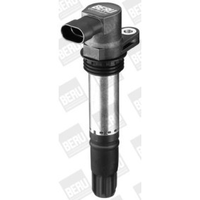 Lichtmaschinenregler GER005 von BERU günstig für 14,68 € online kaufen