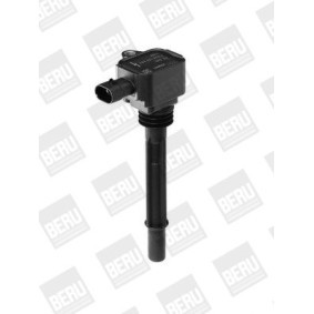 Lichtmaschinenregler GER015 von BERU günstig für 18,45 € online kaufen