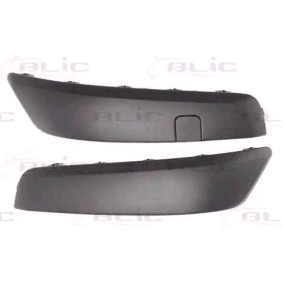 Comprar Protector para parachoques de BLIC 5510-00-6042923P a bajo precio de 56,36 €