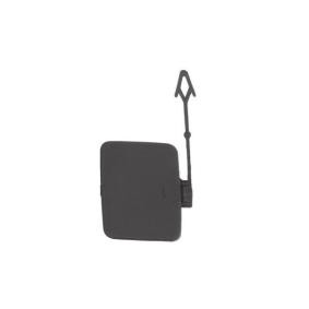 Achetez des Capuchon, crochet de remorquage BLIC 5513-00-0096971P à prix pour 13,03 €