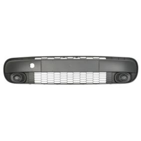 Achetez des Grille de pare-choc de chez BLIC en ligne pour 500L (351, 352) à prix modérés