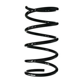 Fahrwerksfeder 55513 von SPIDAN günstig für 53,37 € online kaufen