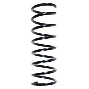 Fahrwerksfeder 55520 von SPIDAN günstig für 43,84 € online kaufen