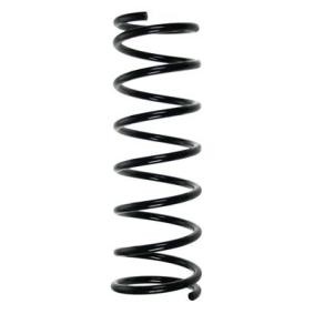Fahrwerksfeder 55522 von SPIDAN günstig für 60,66 € online kaufen