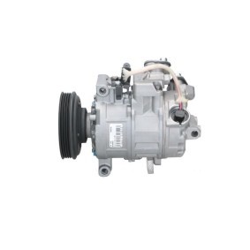 Acquista Alternatore da BV PSH 556.025.100.215 a buon mercato per soli 198,11 €